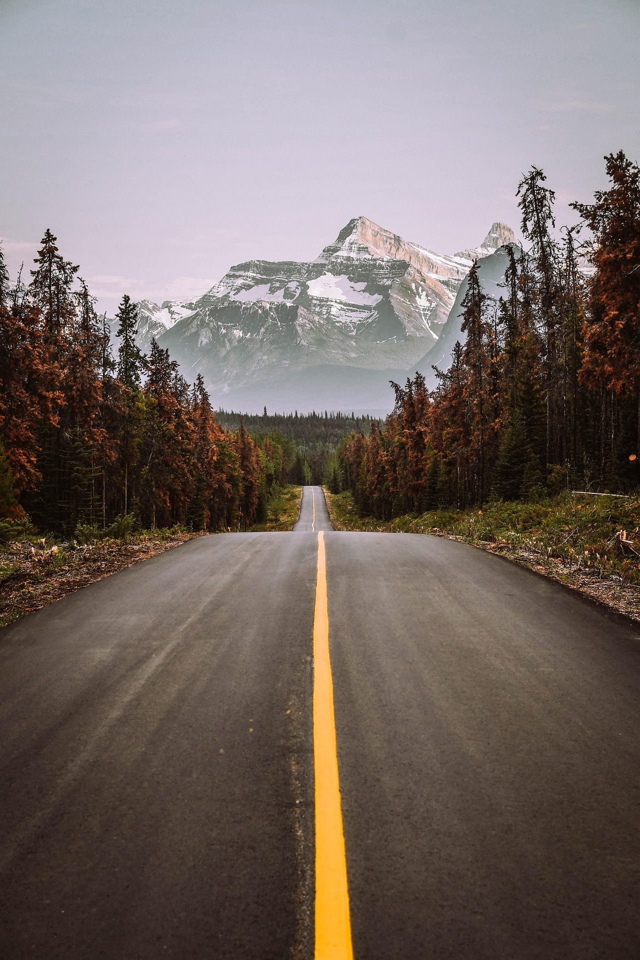 Road leading to mountains